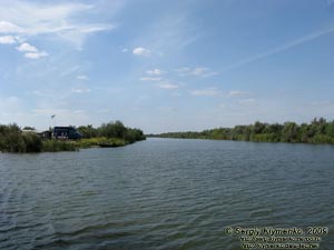Одесская область. Вилково. Фото. Дунайские плавни.
