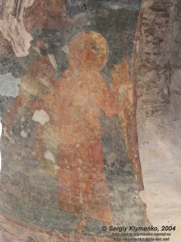 Черниговская область. Фото. Остёр. Юрьева божница. Фрески.