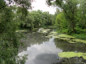 Черниговская область. Фото. Остёр. Речка Остёр на окраине города Остёр, вид с моста (50°56'39.50"N, 30°53'04.00"E).