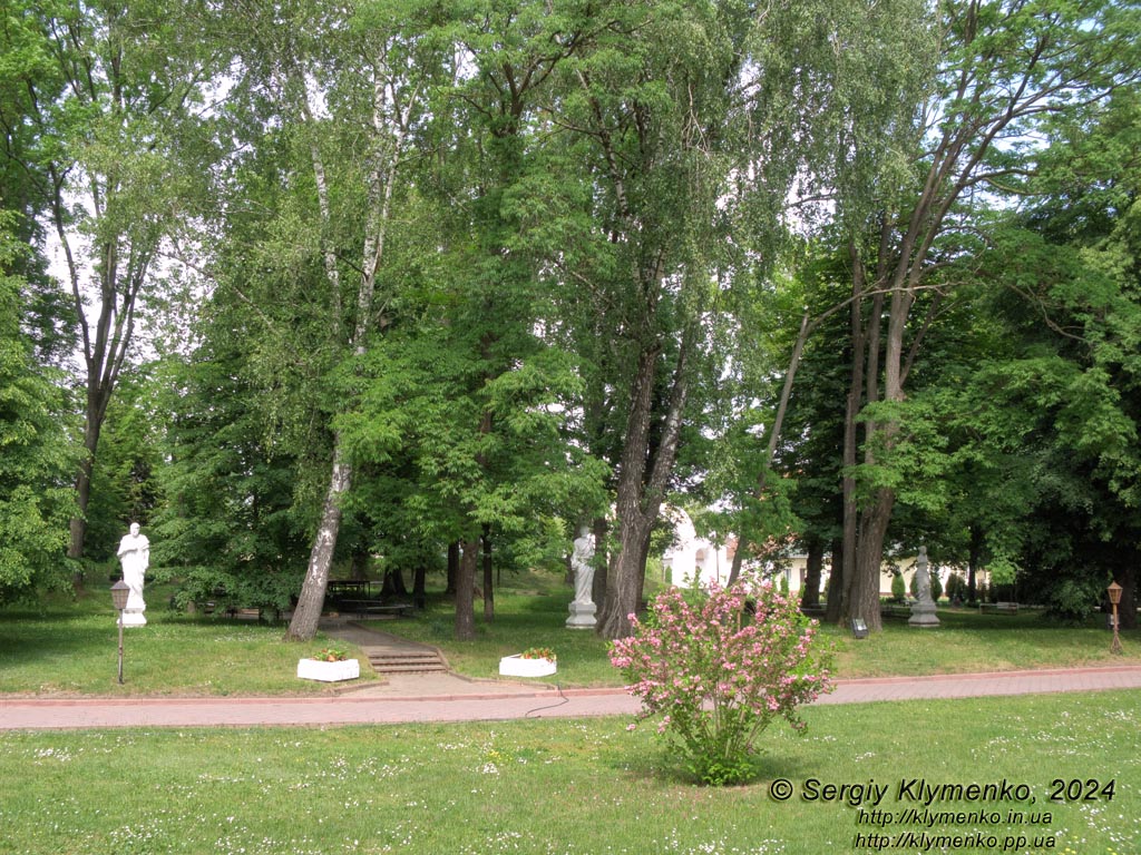 Ровенщина, Острог. Фото. Острожская академия. Академический парк.