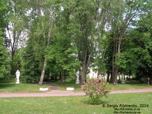 Ровенщина, Острог. Фото. Острожская академия. Академический парк.