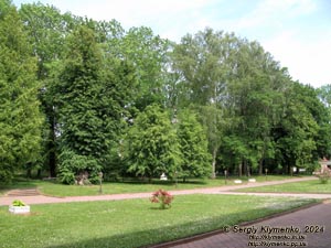 Ровенщина, Острог. Фото. Острожская академия. Академический парк.