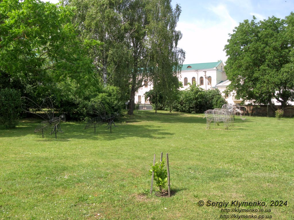Ровенщина, Острог. Фото. Острожская академия, в библиотечном парке.