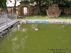 Ровенщина, Острог. Фото. Острожская академия, в библиотечном парке.