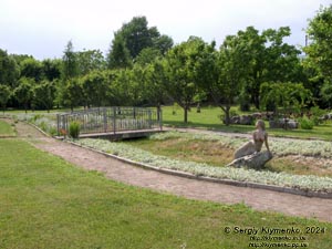 Ровенщина, Острог. Фото. Острожская академия, в библиотечном парке. Здесь царит эта хорошенькая русалка.