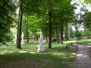 Ровенщина, Острог. Фото. Острожская академия. Академический парк.