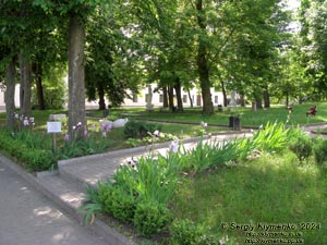 Ровенщина, Острог. Фото. Острожская академия. Академический парк.