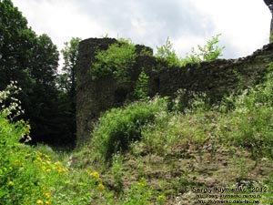Закарпатская область, село Невицкое. Фото. Невицкий замок снаружи.