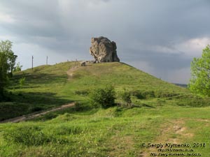 Подкамень (Львовская область). Фото. Тот самый «Камень» - 16-метровая эрозионная скала-останец морских рифов Подольских Товт (49°56'45"N, 25°19'53"E).