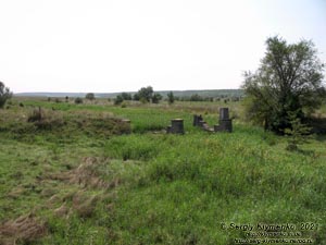 Одесская область. Возле села Курисово Березовского района. Фото. Остатки старого моста возле дороги Р55 между сёлами Каиры и Курисово.