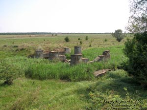Одесская область. Возле села Курисово Березовского района. Фото. Остатки старого моста возле дороги Р55 между сёлами Каиры и Курисово.