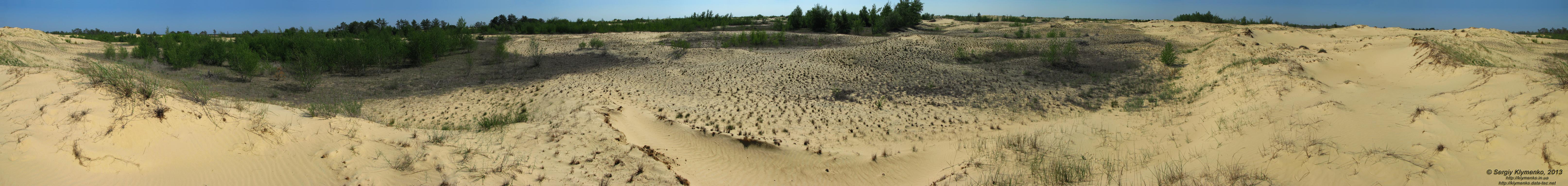 Херсонская область. Фото. Олешковские пески. Панорама ~360°.