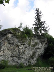 Парк в Малиевцах. Скалы.