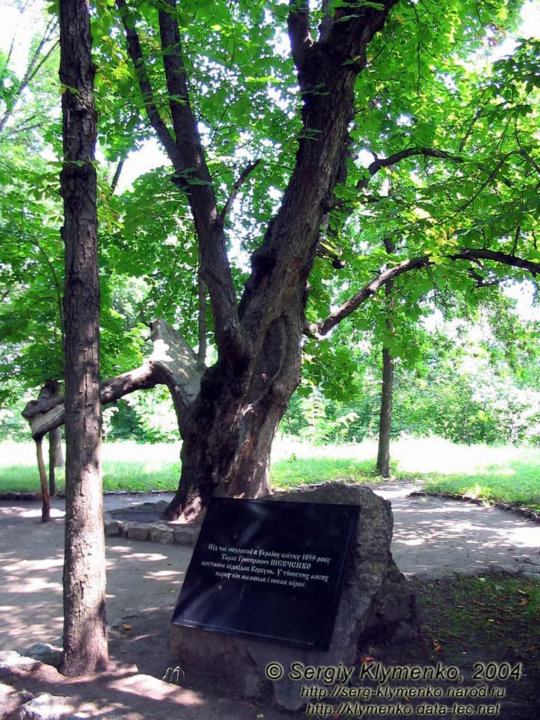 Корсунь-Шевченківський. Пам’ятний знак Т.Г.Шевченку в ландшафтному парці.