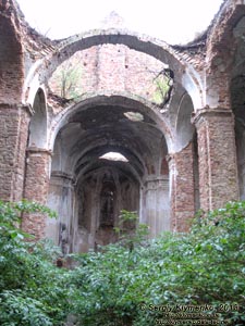 Хмельницкая область, Изяслав. Фото. Руины костёла Святого Ивана Хрестителя (начало возведения 1599 год) изнутри. Центральный неф в направлении главного алтаря.