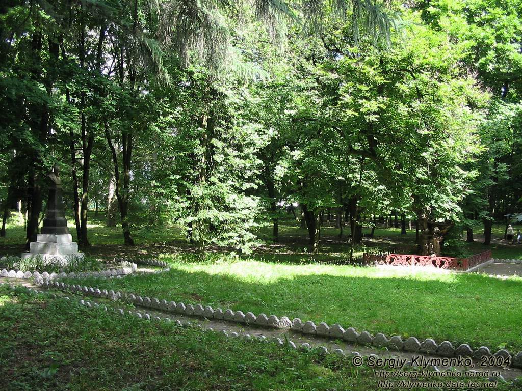 Седнів. Садиба Лизогубів. Шевченкова липа.