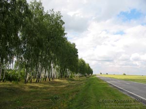 Сумская область. Фото. Пейзаж по дороге между Глуховим и Путивлем.