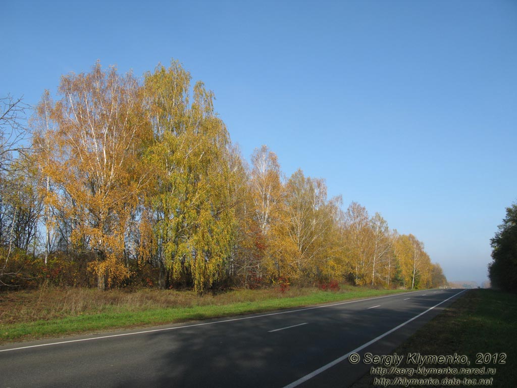 Черниговщина. Фото. Автодорога E101 (Киев-Кипти-Глухов-Бачевск-Москва) невдалеке от Батурина.