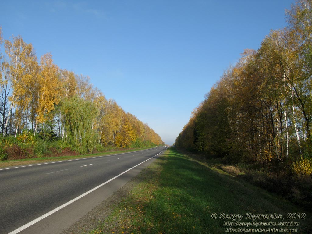 Черниговщина. Фото. Автодорога E101 (Киев-Кипти-Глухов-Бачевск-Москва) невдалеке от Батурина.