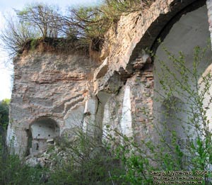 Тараканов. Дубенский форт; остатки казематов.
