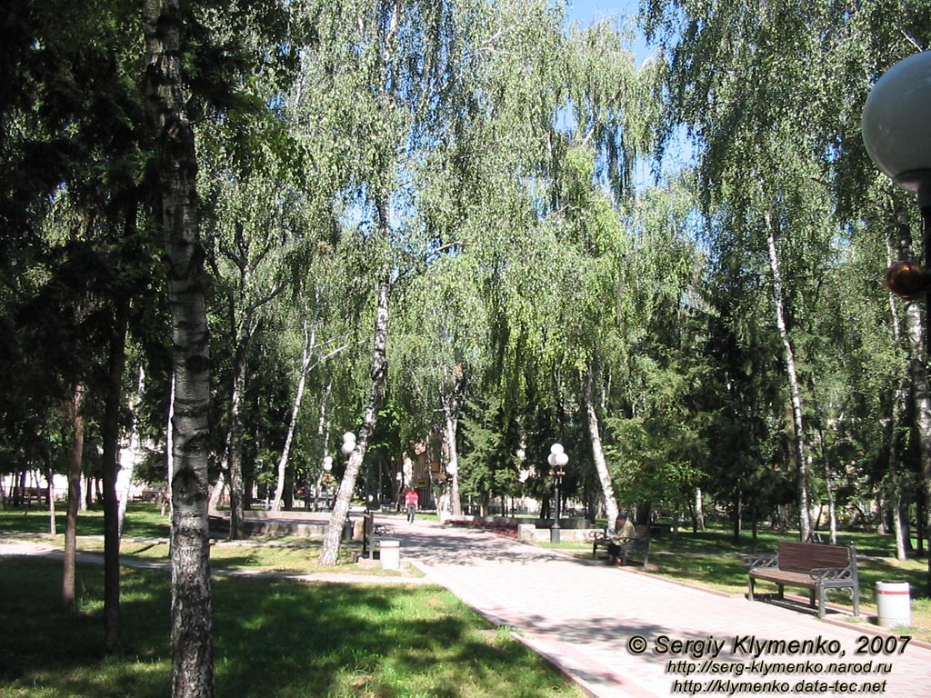 Полтава. Фото. Березовый сквер (на пересечении улиц Пушкина и Мищенко).