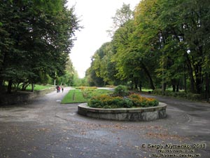 Ровно. Фото. Парк культуры и отдыха им. Т. Г. Шевченко. По дороге к выставке цветов.