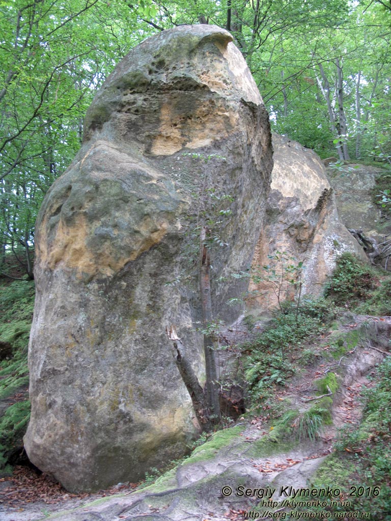 Львовская область. Розгирче. Фото. Возле скального монастыря (49°06'53"N, 23°42'01"E).