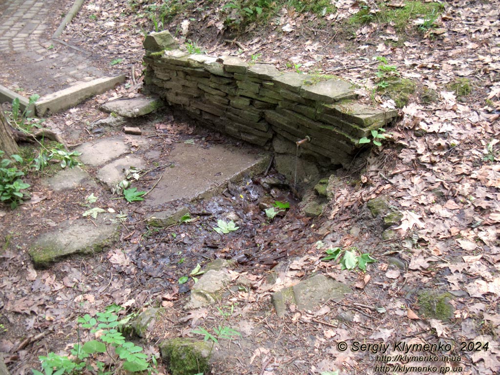 Сходница (Львовская область). Фото. Источник №5 (49°13'21"N, 23°22'22"E).