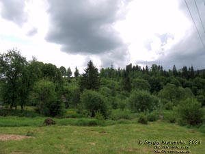 Сходница (Львовская область). Фото. Ландшафтный парк Пантелеймона Целителя.