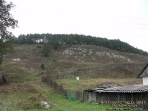 Львовская область. Село Стольско. Фото. Восточная окраина села Стольско (49°32'04"N, 24°04'44"E).