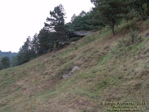 Львовская область. Село Дуброва. Фото. «Храм Солнца» - камень Дырявец (49°30'54"N, 24°04'38"E).