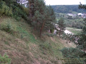 Львовская область. Село Дуброва. Фото. Вид с камня Дырявец - «Храма Солнца» (49°30'54"N, 24°04'38"E).