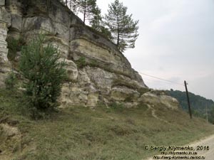 Львовская область. Село Дуброва. Фото. Скалы с остатками пещер в селе Дуброва (49°31'11.50"N, 24°04'43"E).