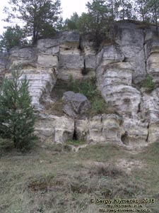 Львовская область. Село Дуброва. Фото. Пещеры Стольскоего городища (49°31'10.50"N, 24°04'43"E).