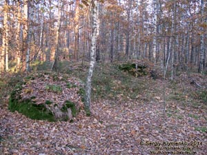 Житомирская область, Олевский район, Замысловецкое лесничество. Фото. Урочище «Каменное Село».