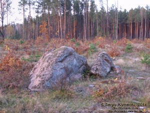 Житомирская область, Олевский район, Замысловецкое лесничество. Фото. Урочище «Каменное Село».