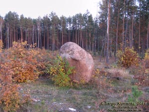 Житомирская область, Олевский район, Замысловецкое лесничество. Фото. Урочище «Каменное Село».