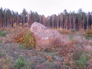 Житомирская область, Олевский район, Замысловецкое лесничество. Фото. Урочище «Каменное Село».