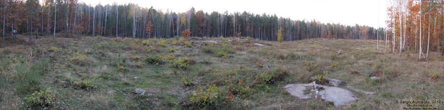 Житомирская область, Олевский район, Замысловецкое лесничество. Фото. Урочище «Каменное Село». Панорама ~150°.