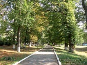 Тернопольская область, село Струсов. Фото. Парково-дворцовый комплекс с дворцом XVIII века.