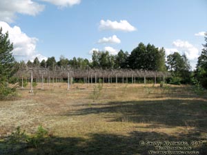 Волынь, озеро Свитязь. Фото. Радиотелескоп «УРАН-3» (51°28'19"N, 23°49'33"E).