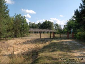 Волынь, озеро Свитязь. Фото. Радиотелескоп «УРАН-3» (51°28'19"N, 23°49'33"E).
