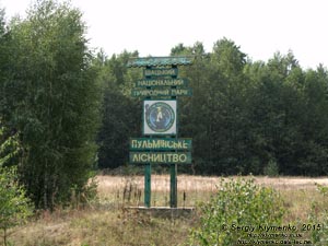 Волынь, Шацкие озёра. Фото. Шацкий национальный природный парк. Указатель Пульмовского лесничества (51°31'37.70"N, 23°51'8.60"E).