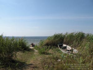 Волынь, Шацкие озёра. Фото. Живописный вид Пулемецкого озера (51°32'4.00"N, 23°45'37.20"E).