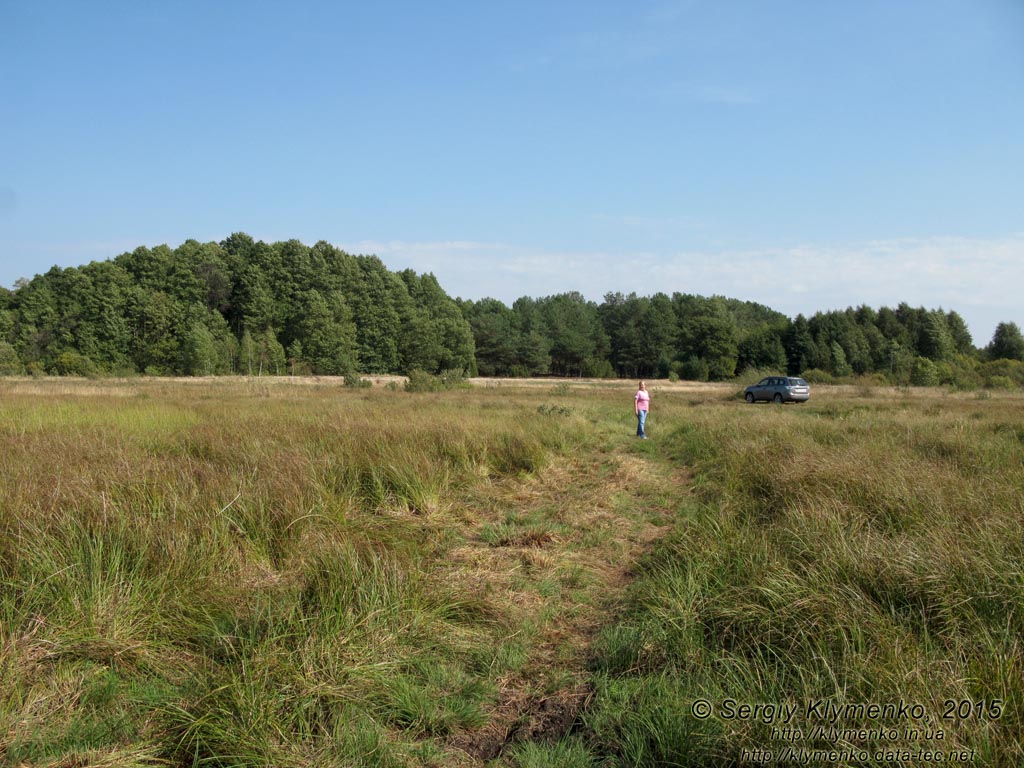 Волынь, Шацкие озёра. Фото. На берегу Пулемецкого озера (51°32'4.00"N, 23°45'37.20"E).