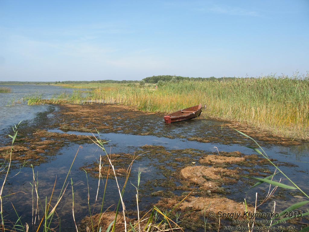 Волынь, Шацкие озёра. Фото. Живописный вид Пулемецкого озера (51°31'46.00"N, 23°45'48.00").
