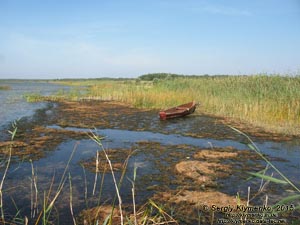 Волынь, Шацкие озёра. Фото. Живописный вид Пулемецкого озера (51°31'46.00"N, 23°45'48.00"E).