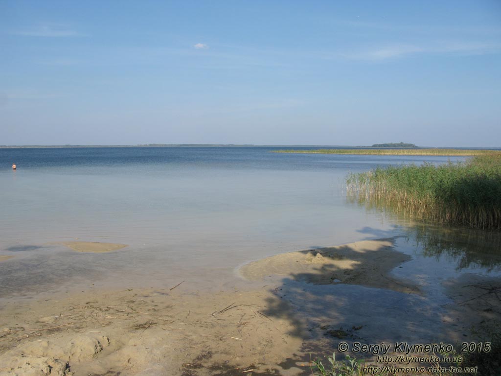 Волынь, Шацкие озёра. Фото. Живописный вид озера Свитязь (51°29'01.20"N, 23°47'58.40"E).
