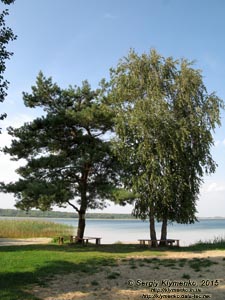 Волынь, Шацкие озёра. Фото. Живописный вид озера Свитязь (51°29'01.20"N, 23°47'58.40"E).