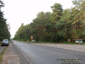 Волынь, Шацкие озёра. Фото. Дорога от Шацка до Любомля (51°26'59.90"N, 23°55'34.40"E).
